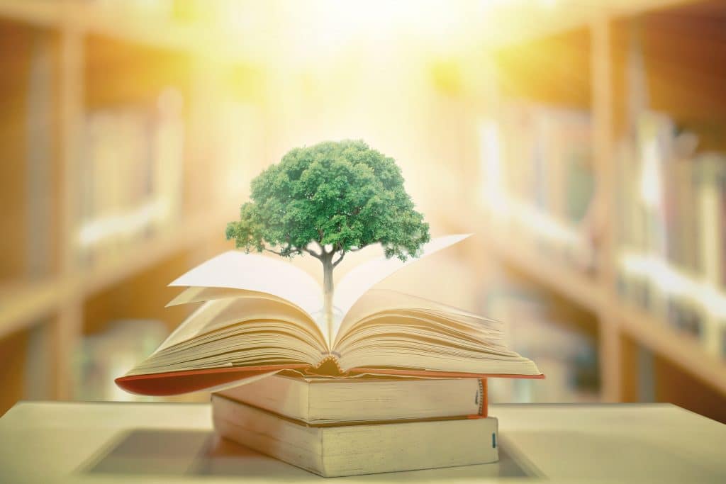 Tree growing out of book